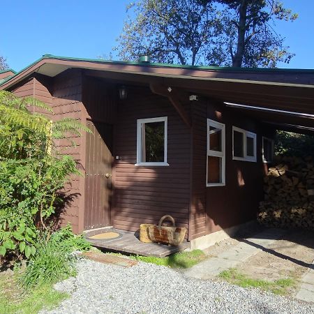 Silvestre Cabanas Puerto Varas Bagian luar foto