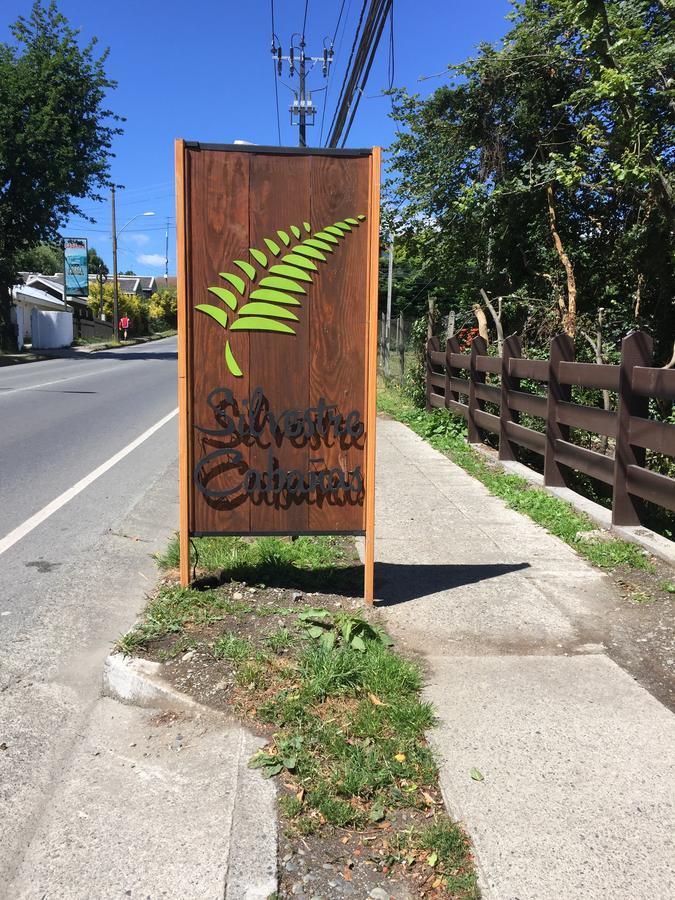 Silvestre Cabanas Puerto Varas Bagian luar foto